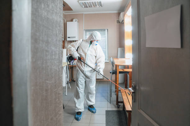 Best Basement Mold Removal  in Big Timber, MT