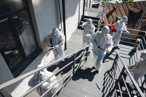 Best Residential Mold Inspection & Testing  in Big Timber, MT