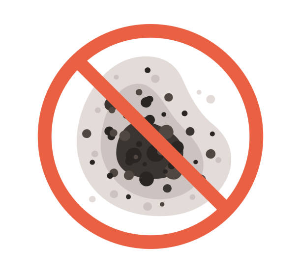 Best Air Quality Testing for Mold Spores  in Big Timber, MT
