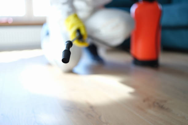 Best Commercial Mold Inspection  in Big Timber, MT