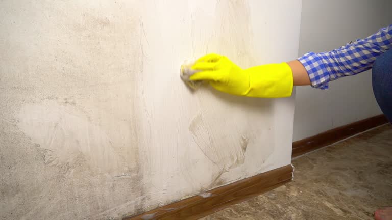 Best HVAC Mold Inspection and Cleaning  in Big Timber, MT