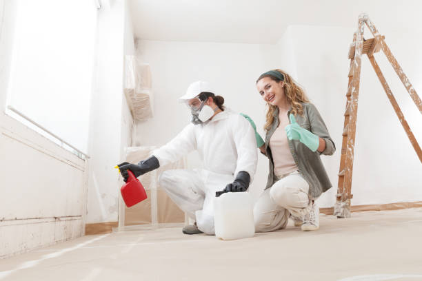 Best Mold Removal for HVAC Installations  in Big Timber, MT
