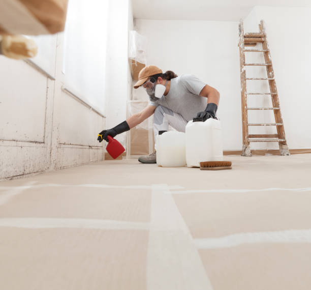 Best Emergency Mold Remediation  in Big Timber, MT